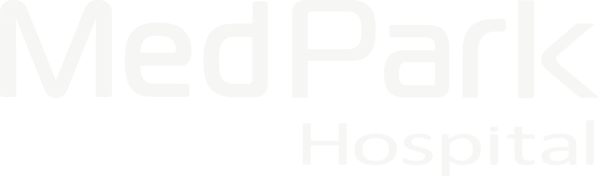 MedPark Hospital